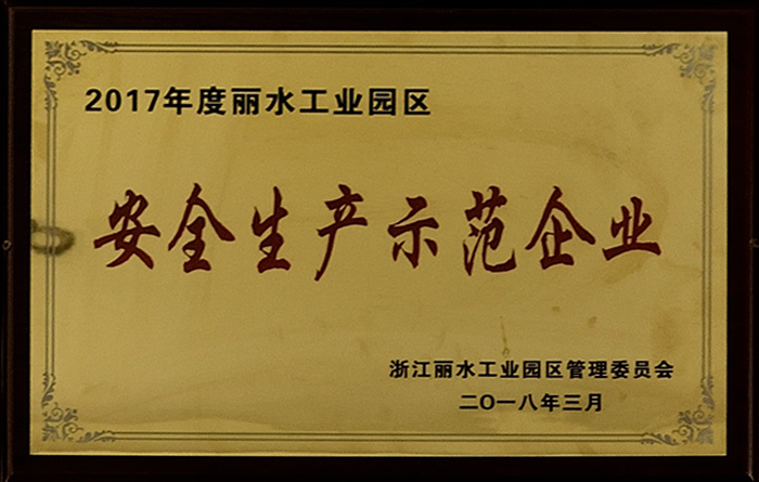 2017年安全生产示范企业